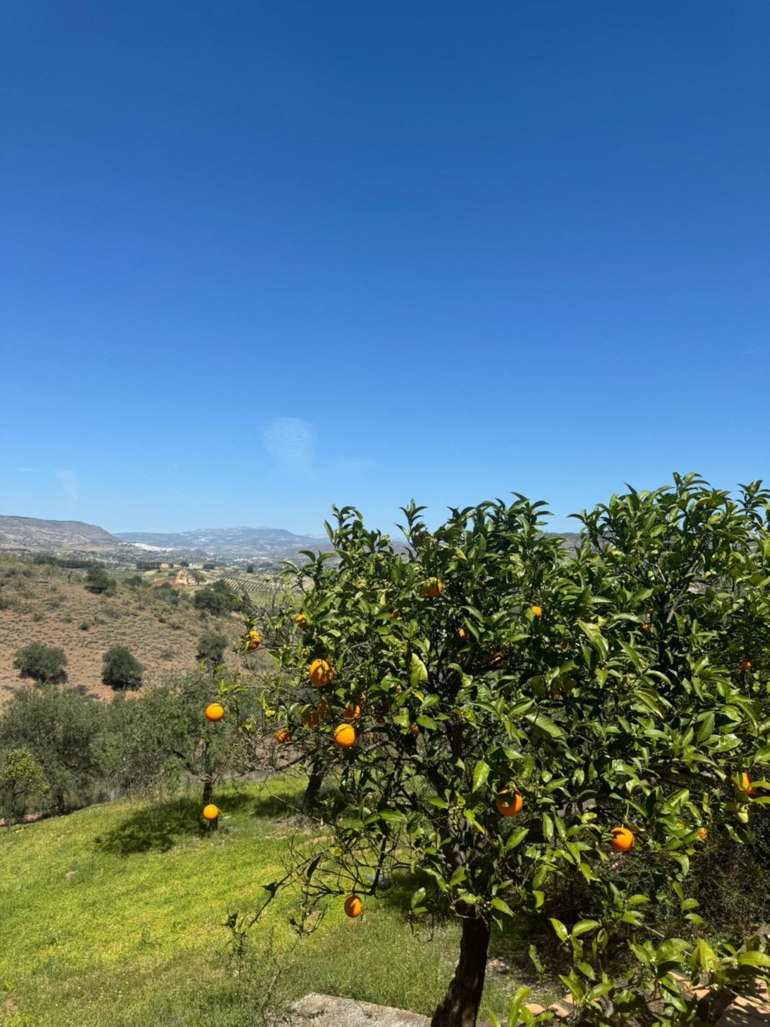 Santa Teresa Bed & Breakfast Andalusien Pizarra Luaran gambar