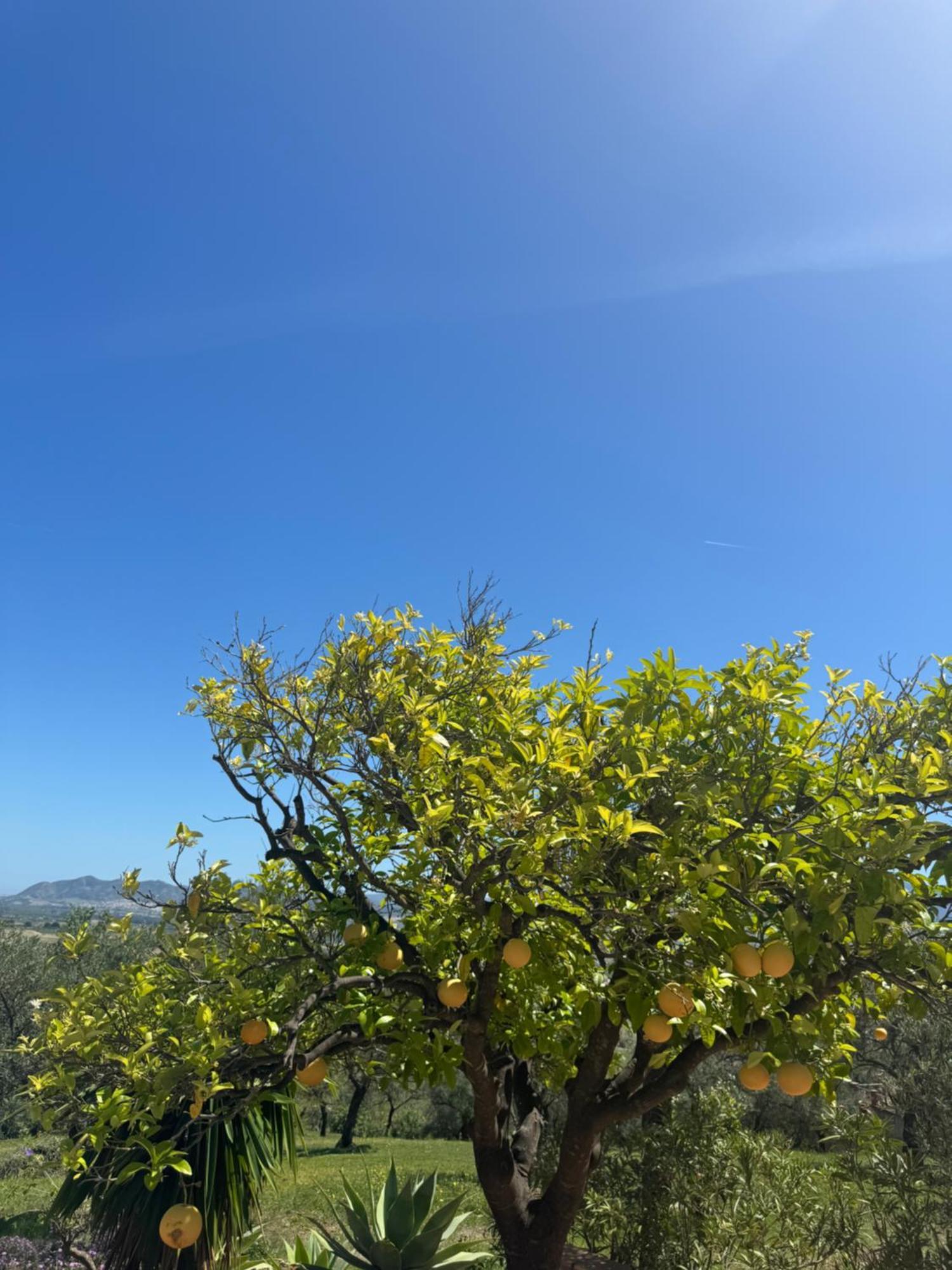 Santa Teresa Bed & Breakfast Andalusien Pizarra Luaran gambar