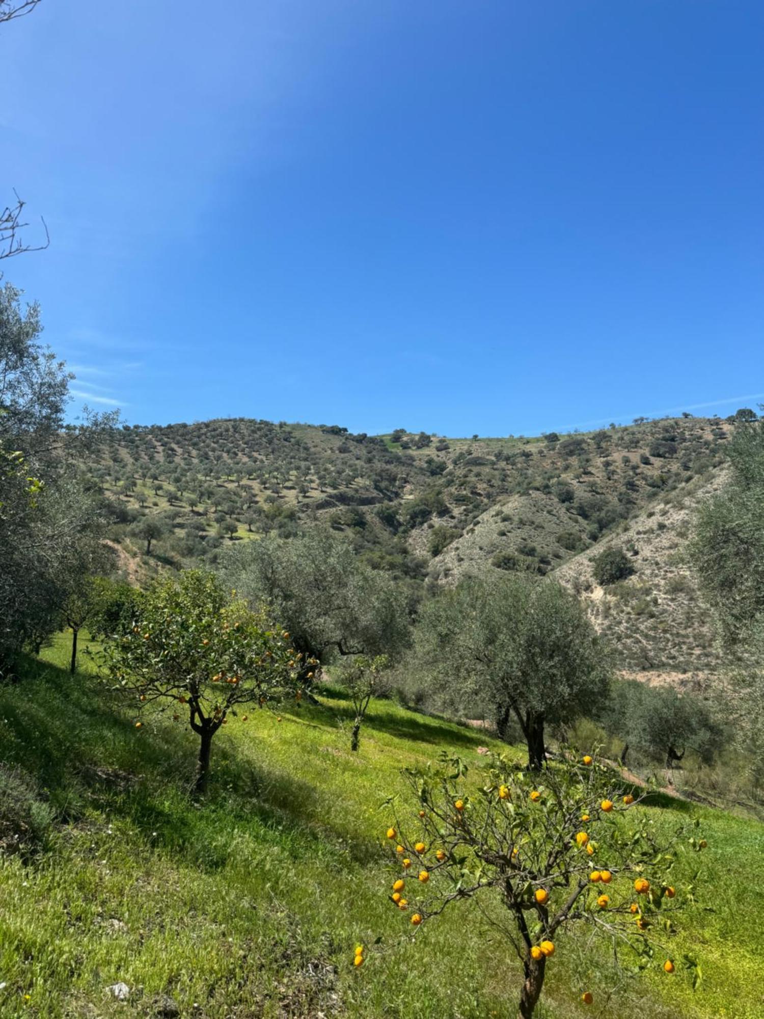 Santa Teresa Bed & Breakfast Andalusien Pizarra Luaran gambar