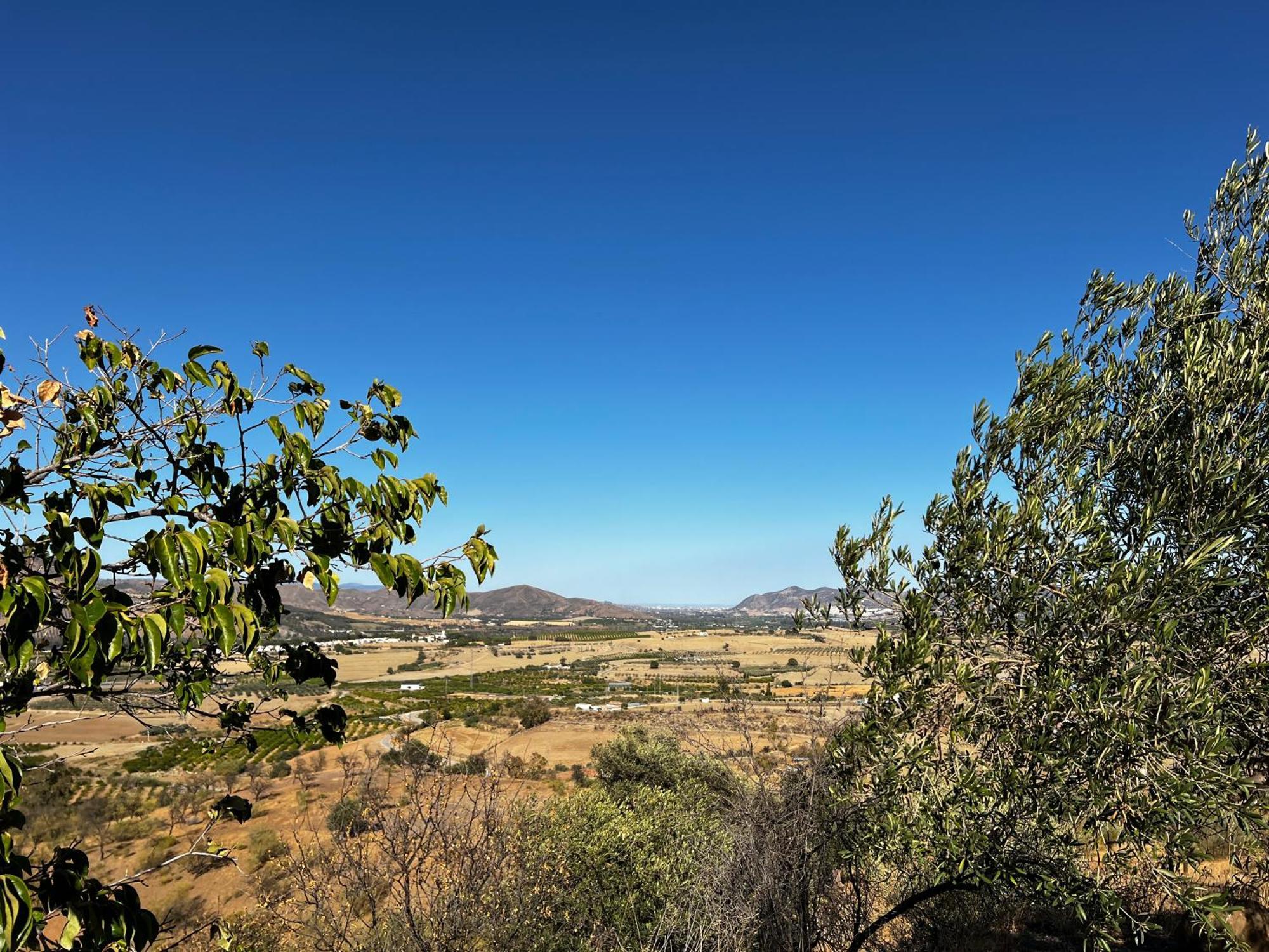 Santa Teresa Bed & Breakfast Andalusien Pizarra Luaran gambar